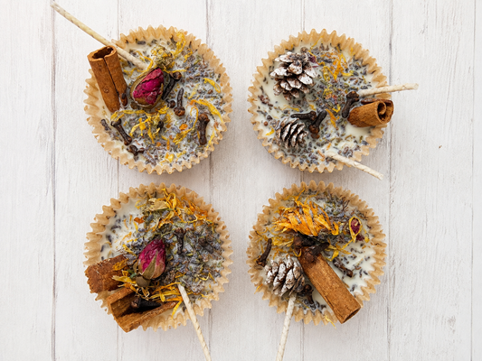 BOTANICAL WAX FIRE STARTERS