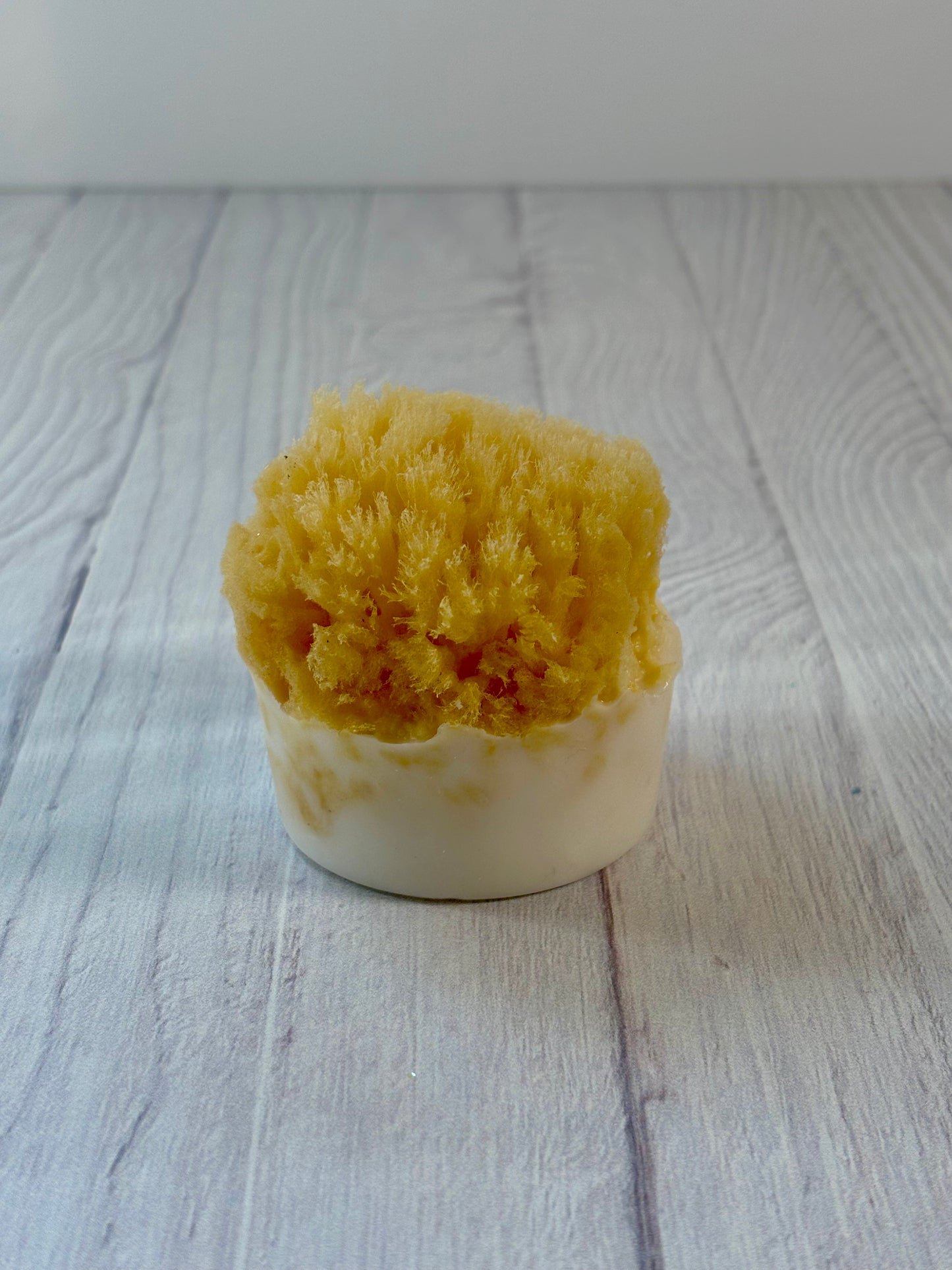 OCEAN SHORES LUXE SEA SPONGE SOAP