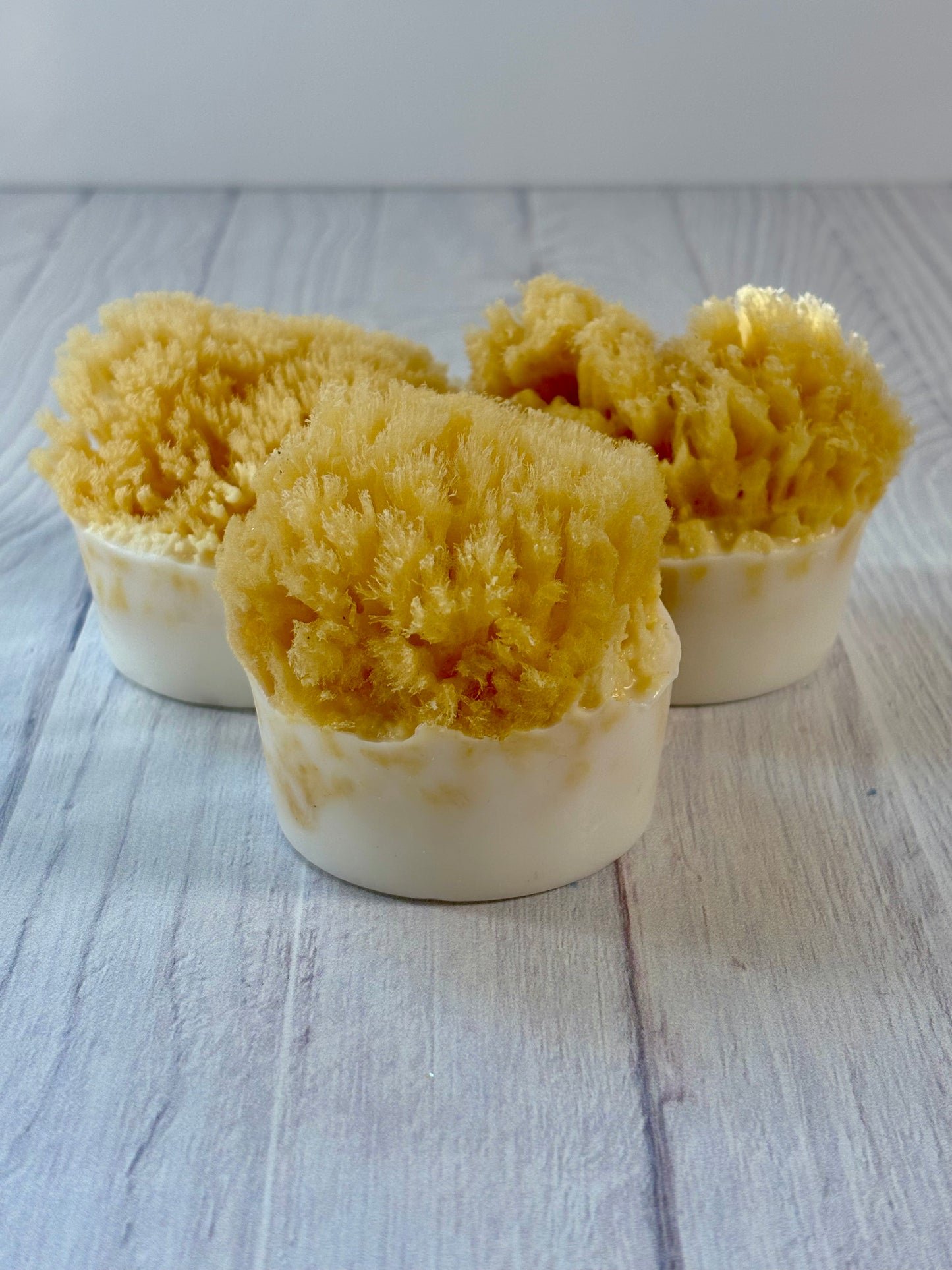 OCEAN SHORES LUXE SEA SPONGE SOAP