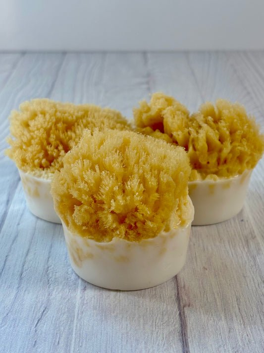OCEAN SHORES LUXE SEA SPONGE SOAP