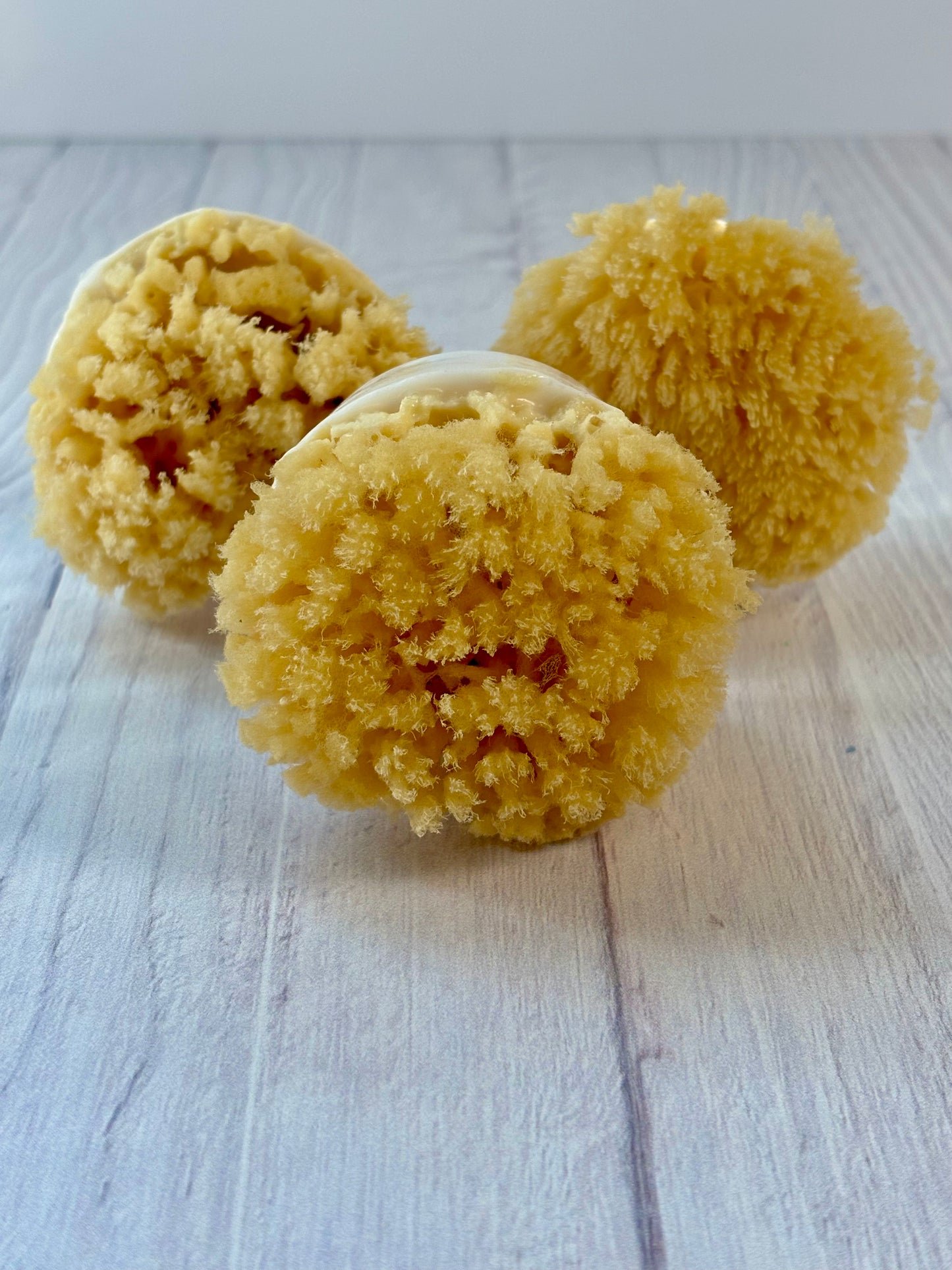 OCEAN SHORES LUXE SEA SPONGE SOAP